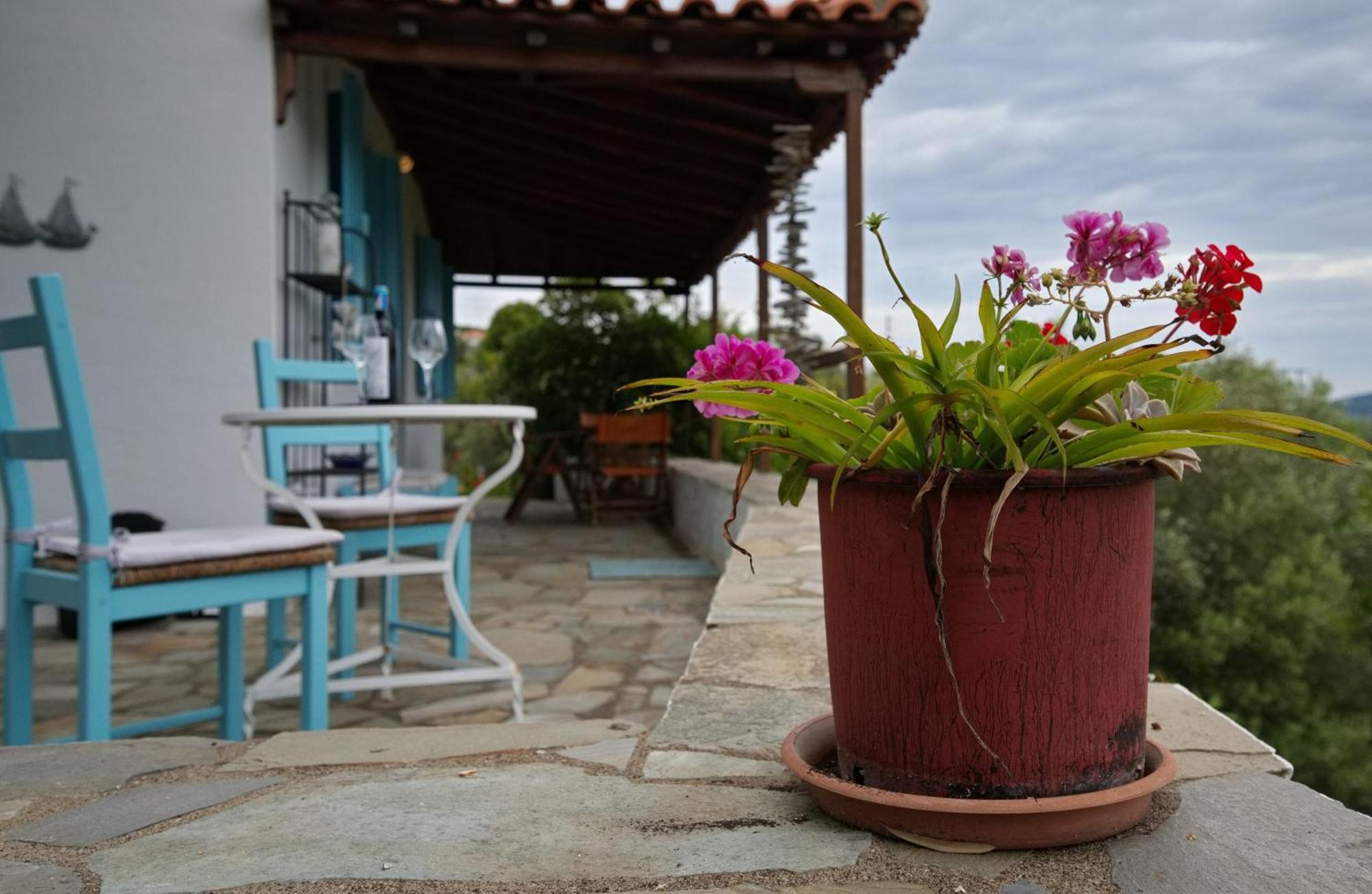 Limani Cottage Steni Vala Alonissos المظهر الخارجي الصورة